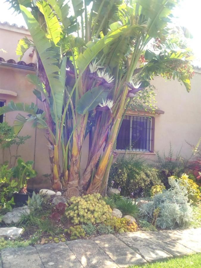 Arthouse Campos Mit Haus Galeria 110Qm Und Appartementhaus Mit Patio 30Qm المظهر الخارجي الصورة