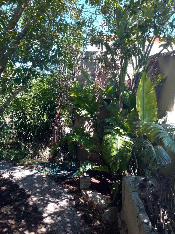Arthouse Campos Mit Haus Galeria 110Qm Und Appartementhaus Mit Patio 30Qm المظهر الخارجي الصورة